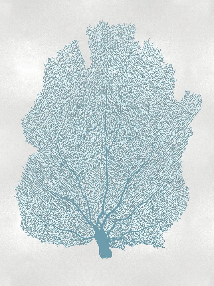 Sea Fan Aqua I art print by Melonie Miller for $57.95 CAD