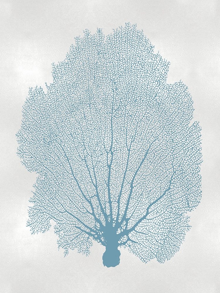 Sea Fan Aqua II art print by Melonie Miller for $57.95 CAD