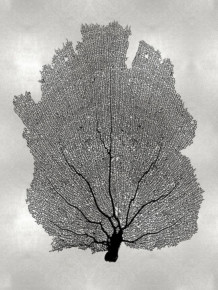 Sea Fan Black on Silver I art print by Melonie Miller for $57.95 CAD