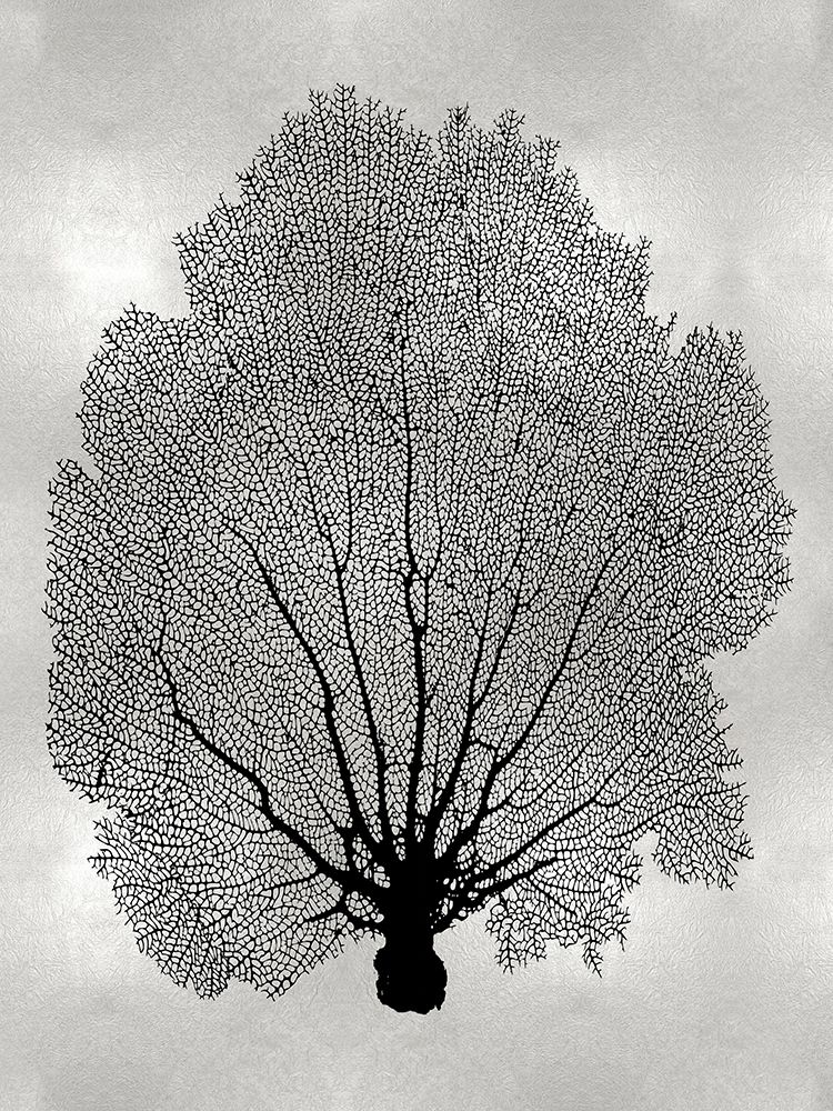 Sea Fan Black on Silver II art print by Melonie Miller for $57.95 CAD