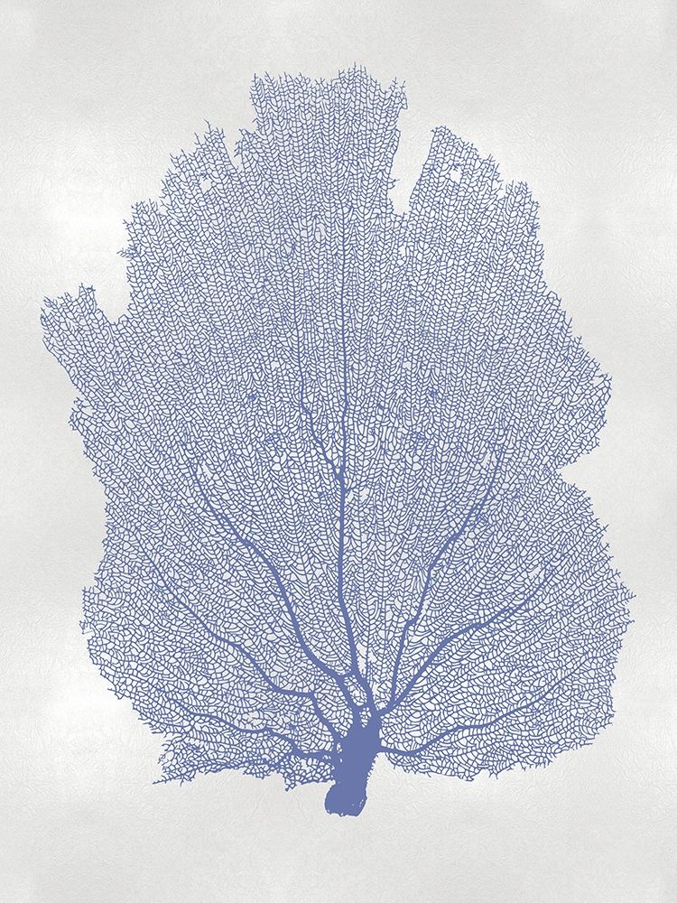 Sea Fan Blue I art print by Melonie Miller for $57.95 CAD