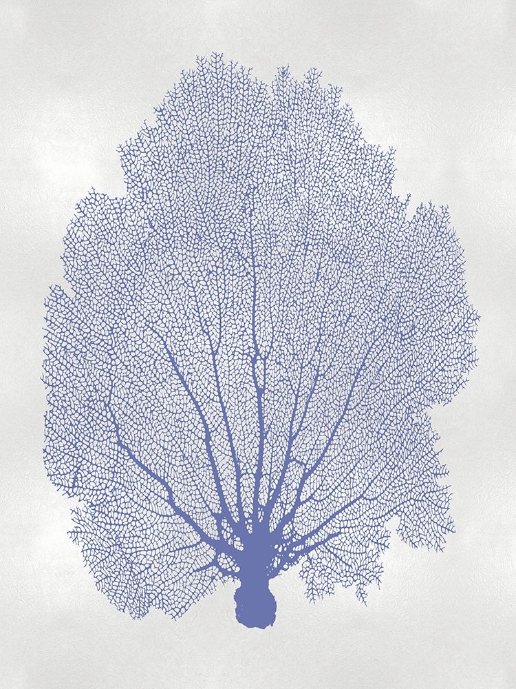 Sea Fan Blue II art print by Melonie Miller for $57.95 CAD