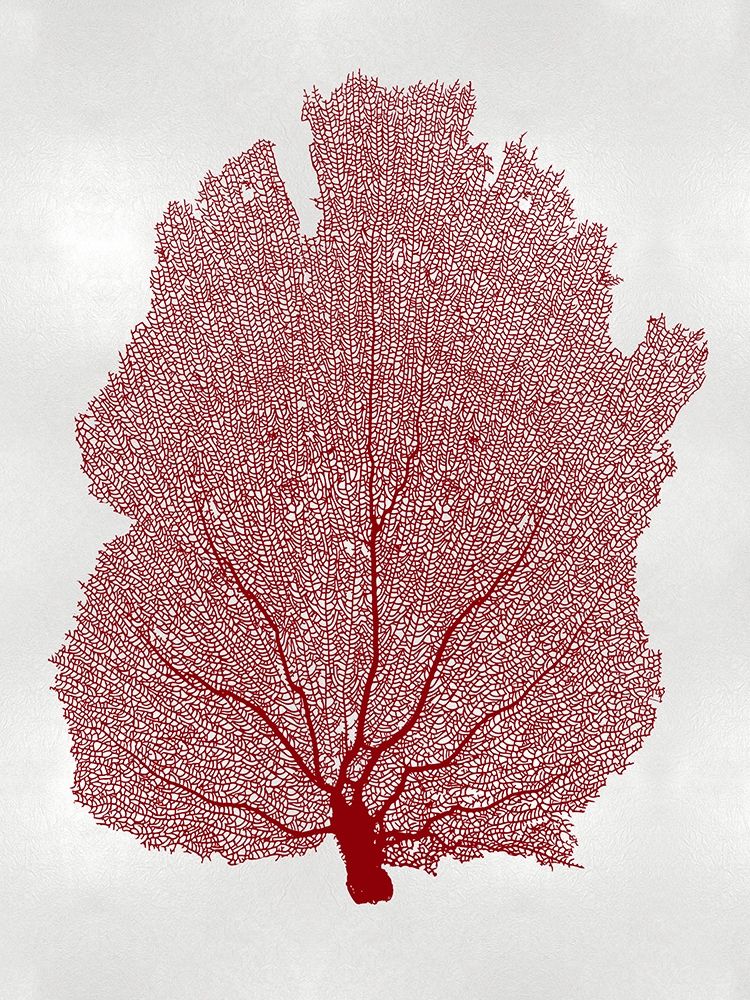 Sea Fan Coral I art print by Melonie Miller for $57.95 CAD