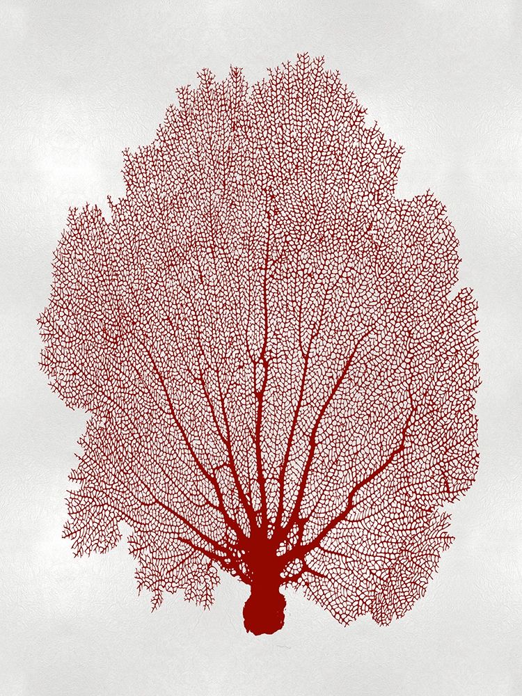 Sea Fan Coral II art print by Melonie Miller for $57.95 CAD