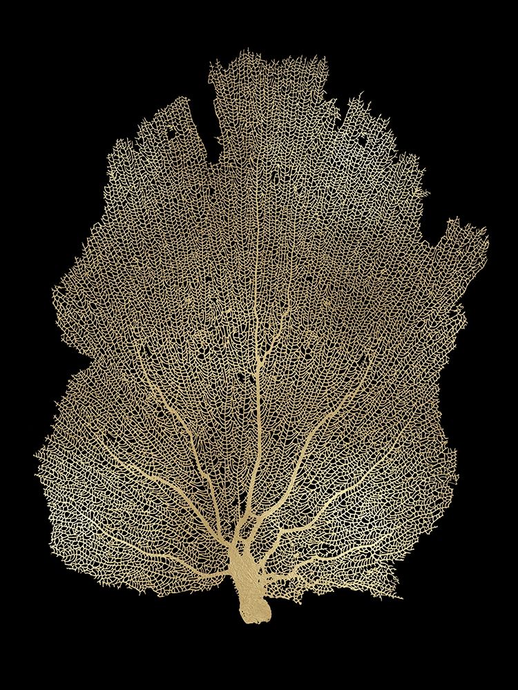 Sea Fan Gold on Black I art print by Melonie Miller for $57.95 CAD