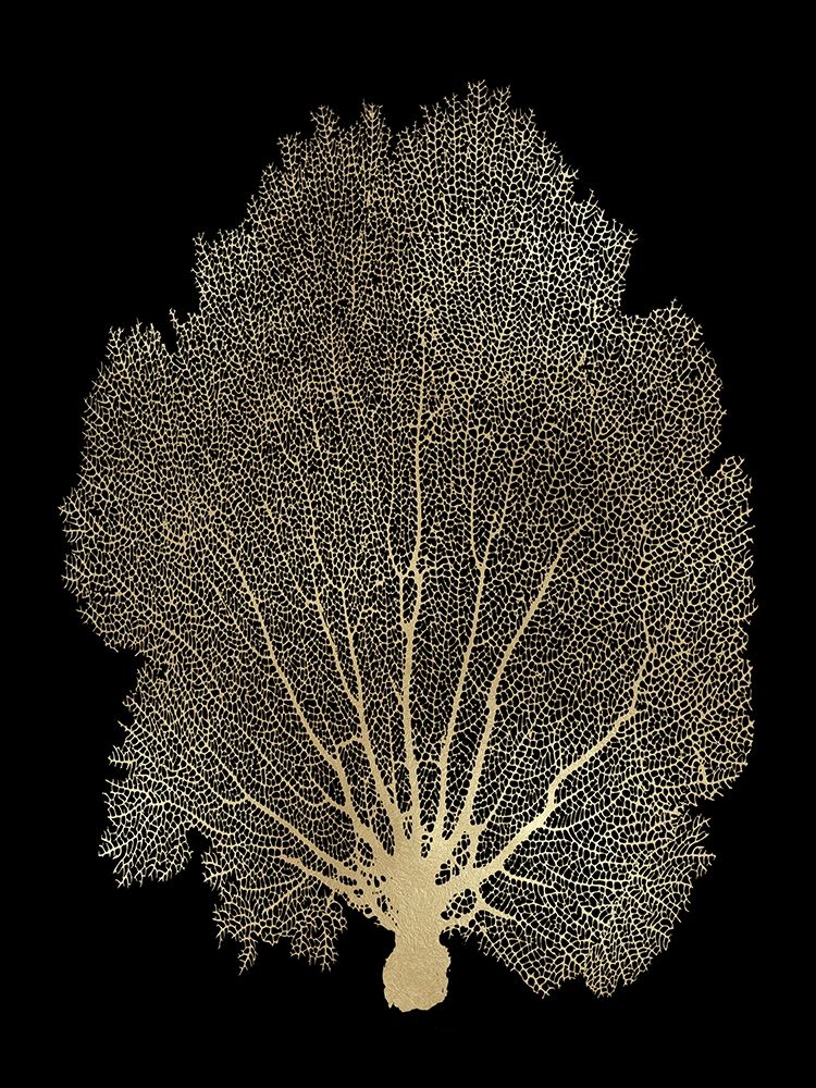 Sea Fan Gold on Black II art print by Melonie Miller for $57.95 CAD