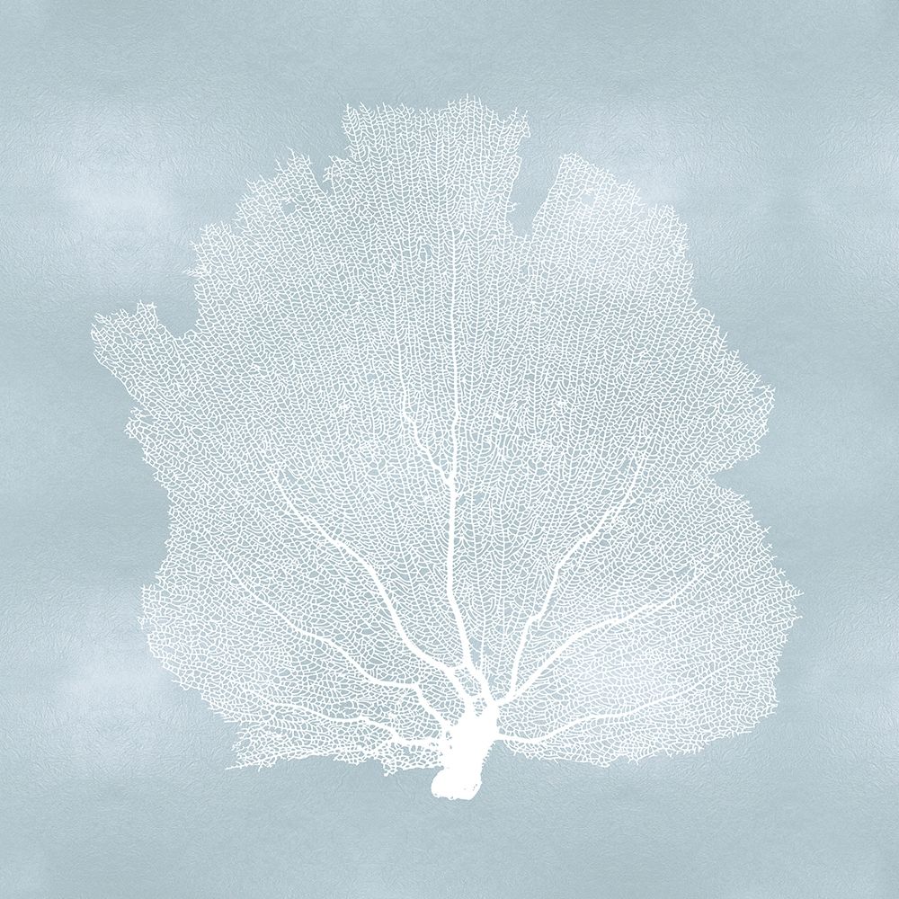 Sea Fan on Aqua I art print by Melonie Miller for $57.95 CAD