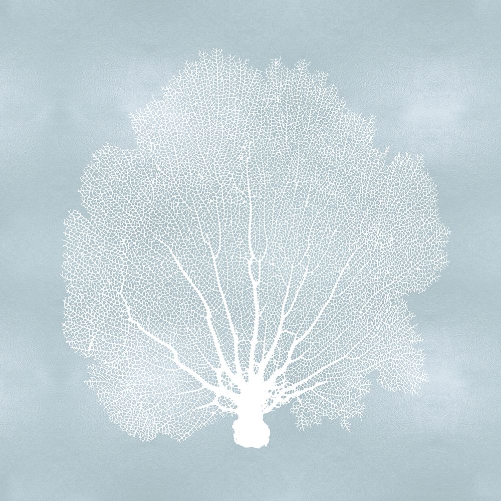 Sea Fan on Aqua II art print by Melonie Miller for $57.95 CAD