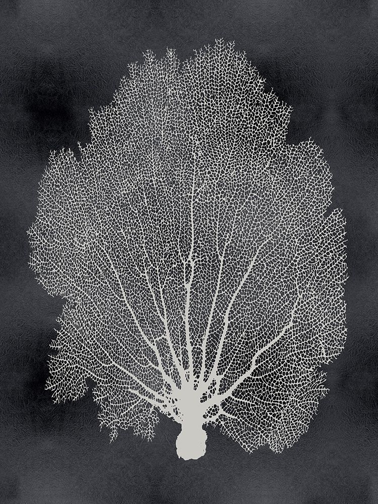 Sea Fan on Black II art print by Melonie Miller for $57.95 CAD