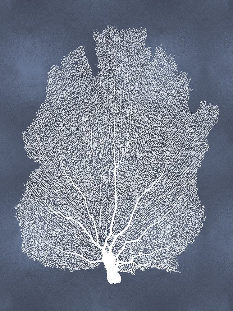 Sea Fan on Blue I art print by Melonie Miller for $57.95 CAD