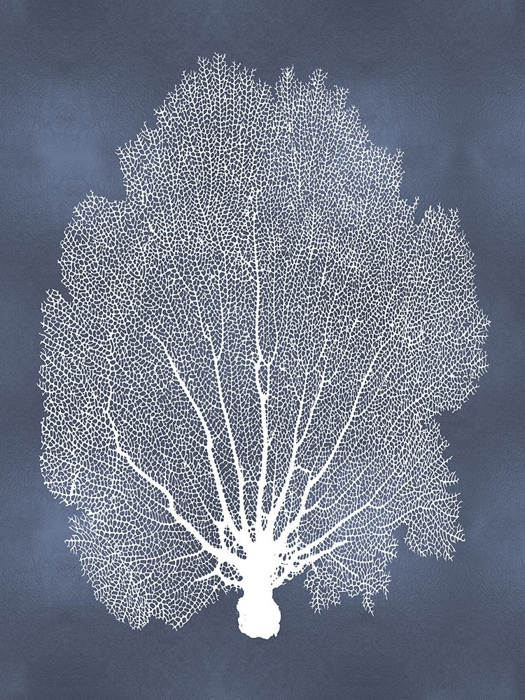 Sea Fan on Blue II art print by Melonie Miller for $57.95 CAD