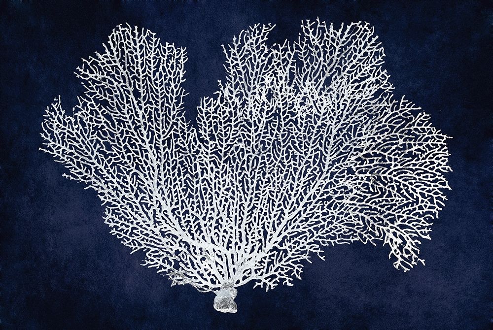 Sea Fan on Indigo Blue I art print by Melonie Miller for $57.95 CAD