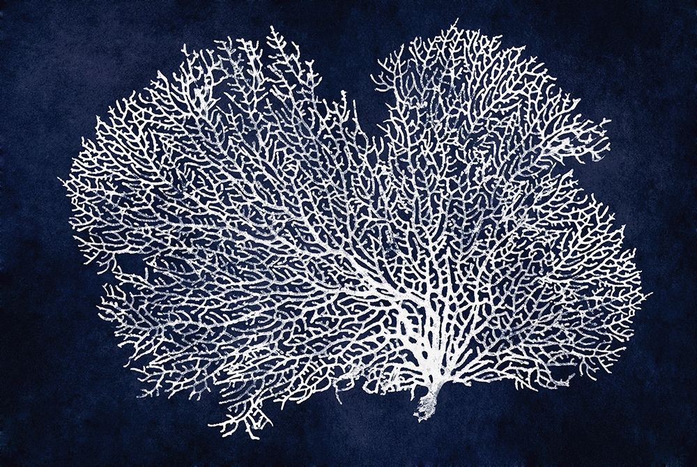 Sea Fan on Indigo Blue II art print by Melonie Miller for $57.95 CAD