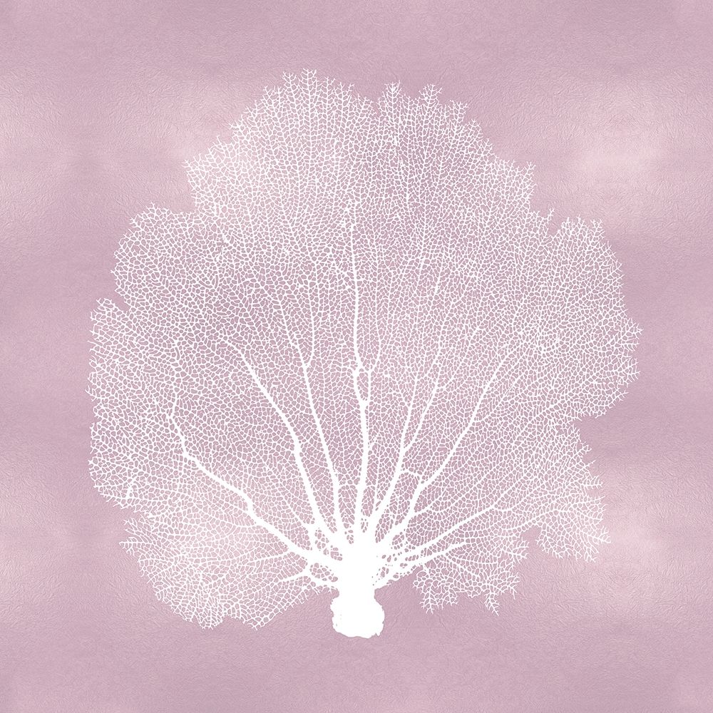 Sea Fan on Pink Blush II art print by Melonie Miller for $57.95 CAD