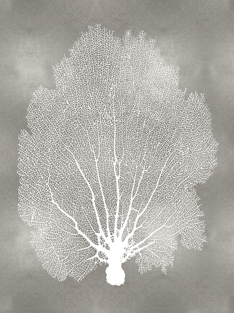 Sea Fan on Silver II art print by Melonie Miller for $57.95 CAD