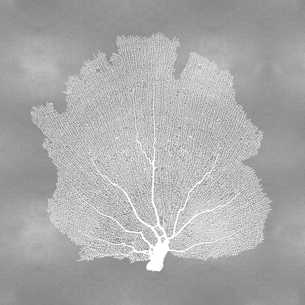 Sea Fan on Silver III art print by Melonie Miller for $57.95 CAD