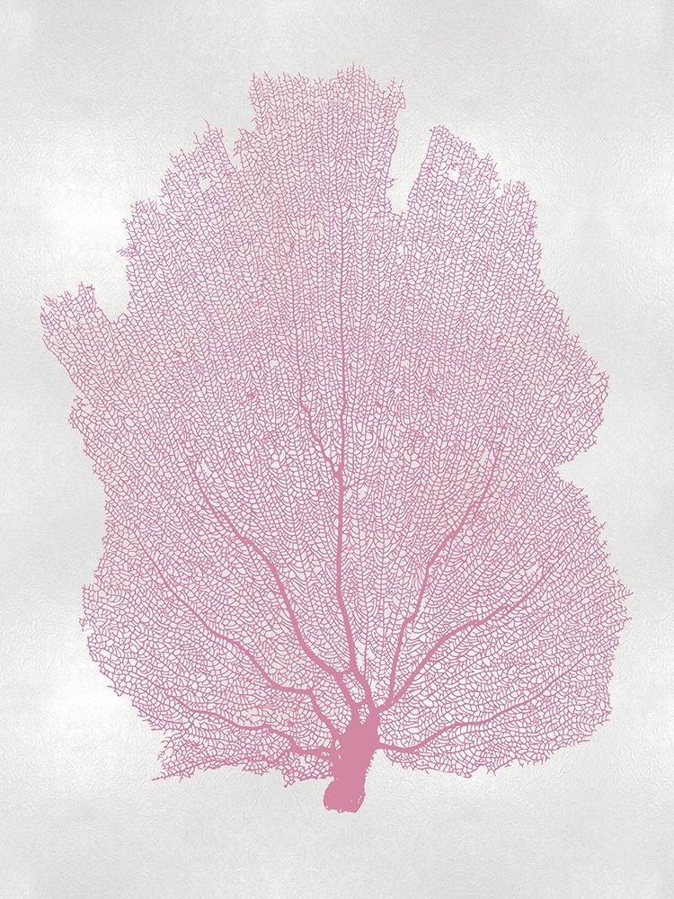 Sea Fan Pink Blush I art print by Melonie Miller for $57.95 CAD