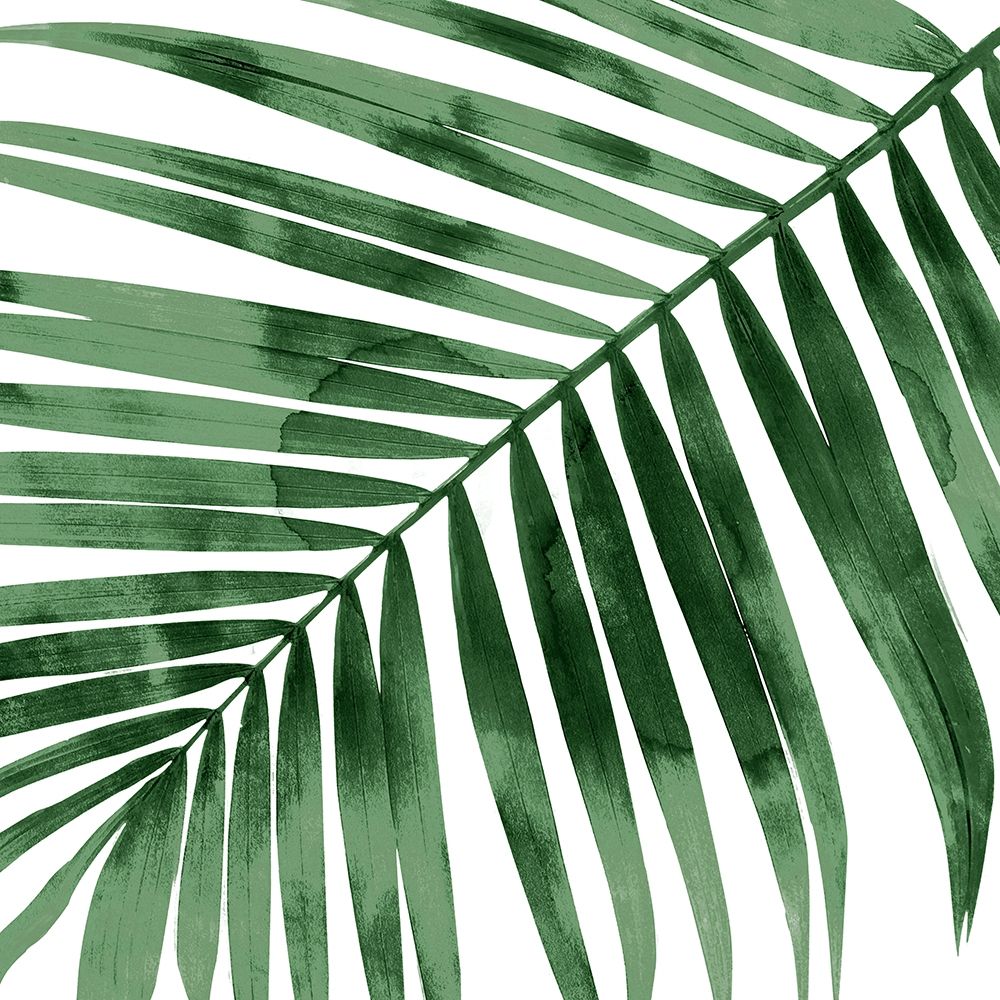 Tropical Green Palm I art print by Melonie Miller for $57.95 CAD