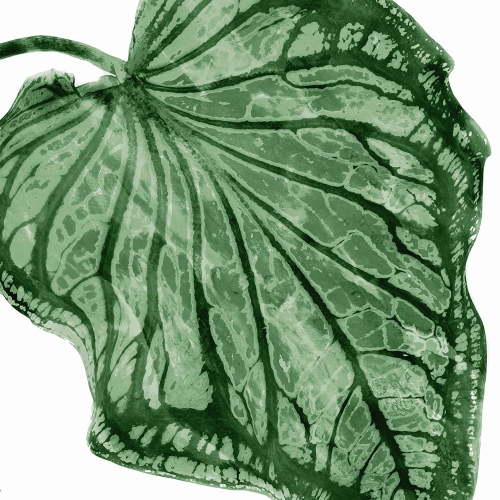 Tropical Green Palm III art print by Melonie Miller for $57.95 CAD