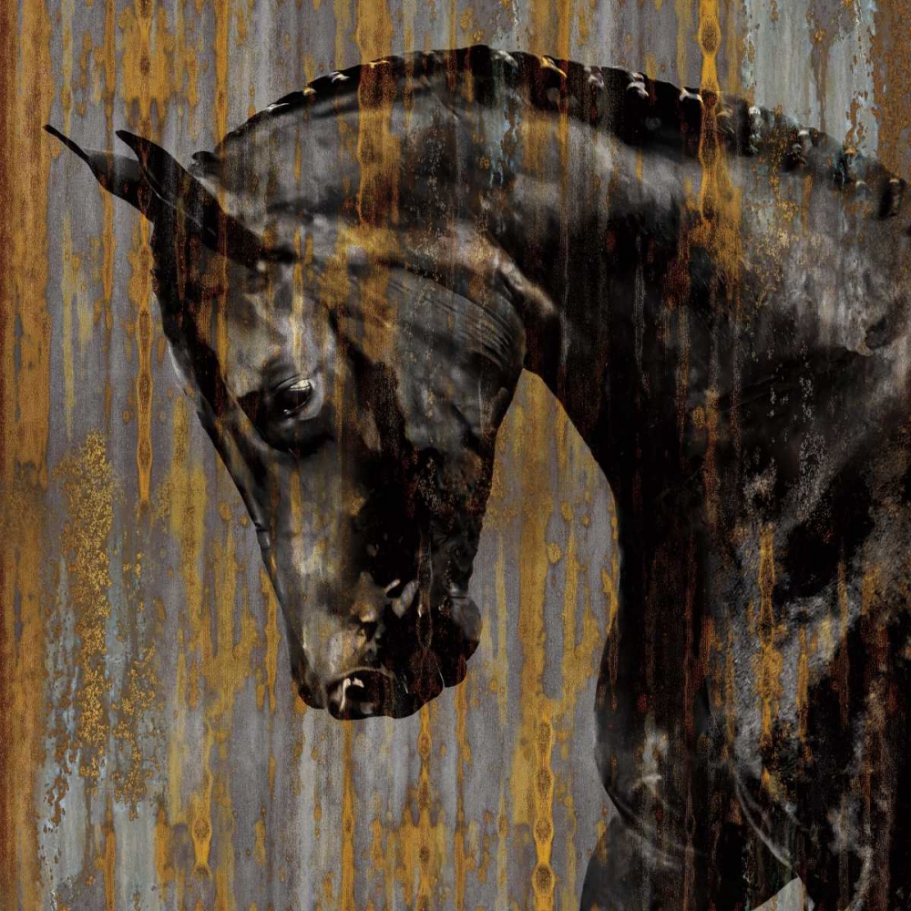 Horse I art print by Martin Rose for $57.95 CAD