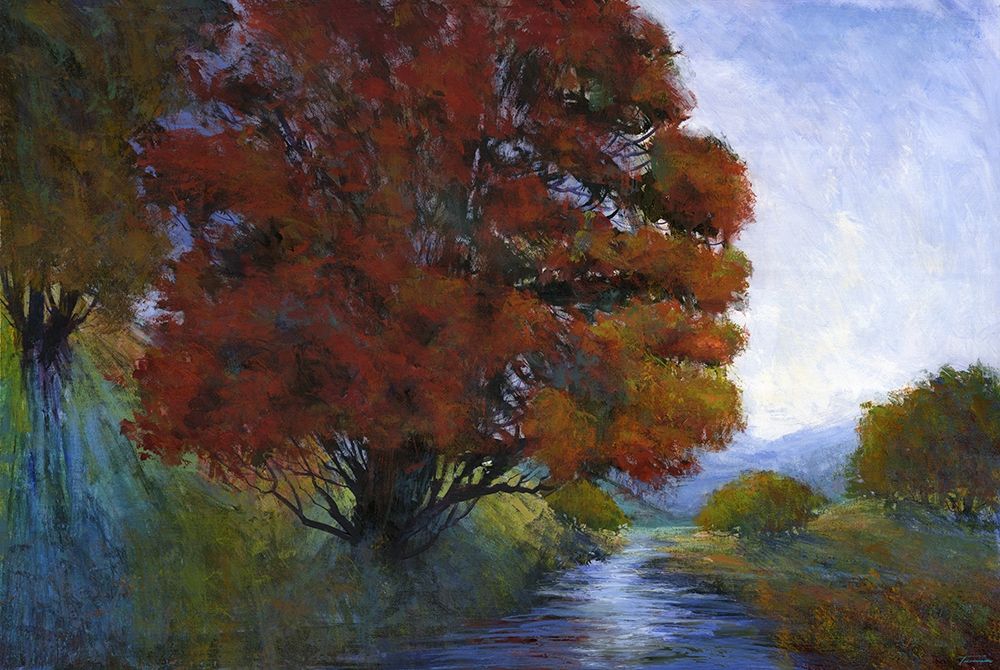 Summer Brook I art print by Michael Tienhaara for $57.95 CAD