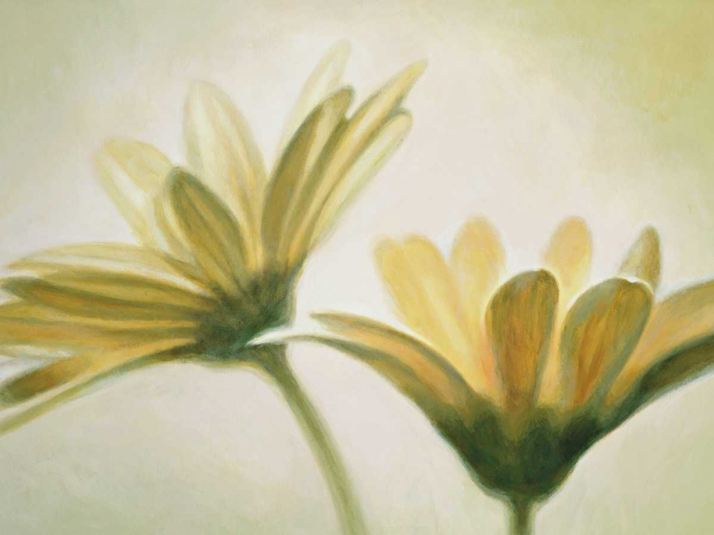 Evanescence I art print by Massimo Valli for $57.95 CAD