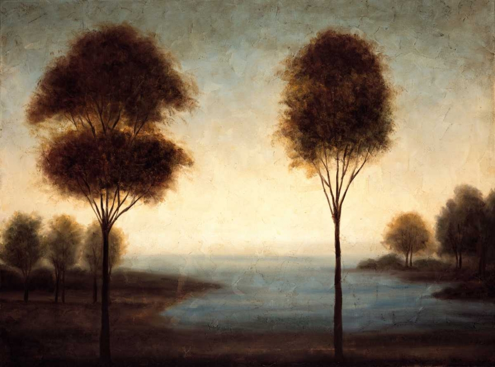 Water Dreams II art print by Neil Thomas for $57.95 CAD