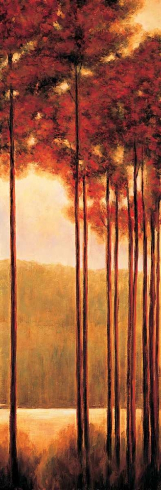 Through the Woods II art print by Neil Thomas for $57.95 CAD