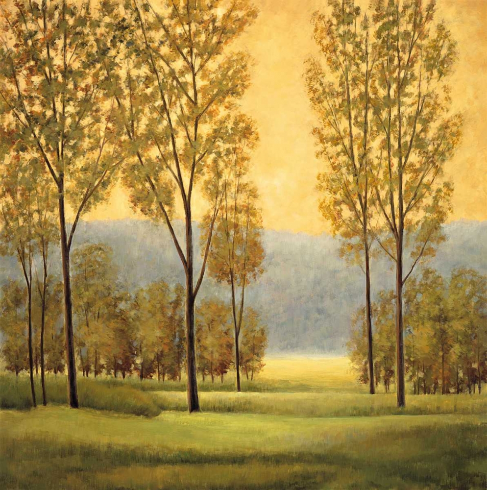 Misty Morning I art print by Neil Thomas for $57.95 CAD