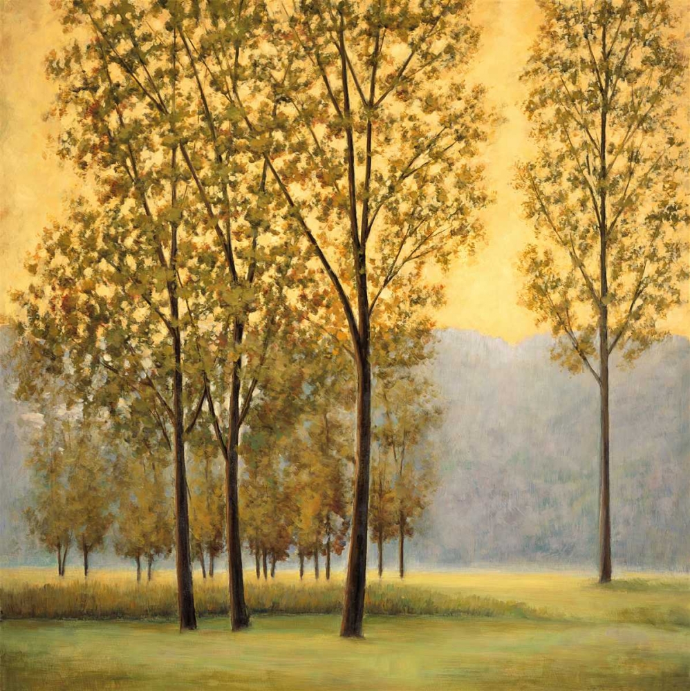 Misty Morning II art print by Neil Thomas for $57.95 CAD