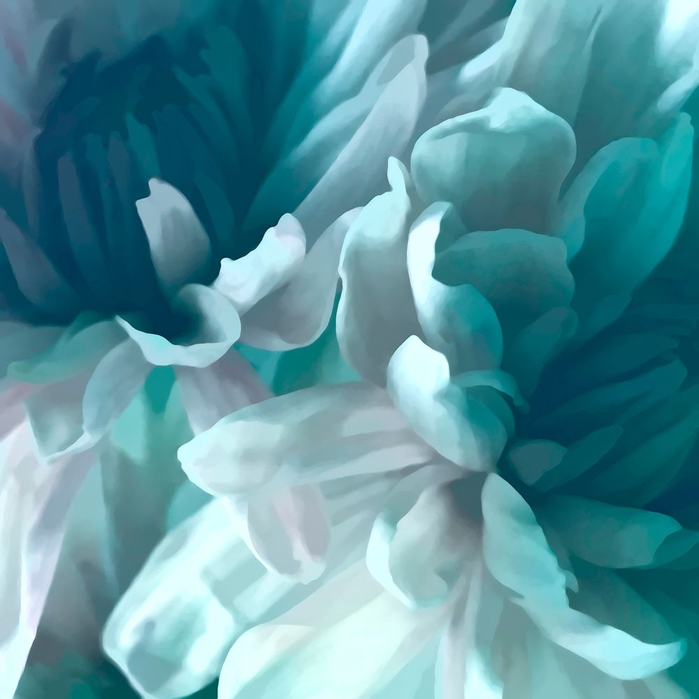 Chrysanthemum XIV art print by David Pollard for $57.95 CAD