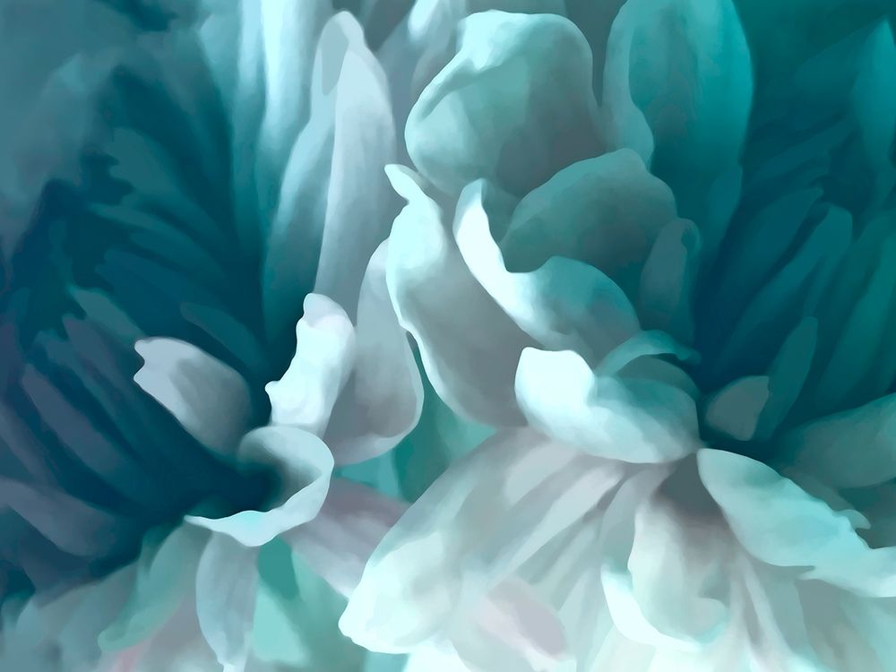 Chrysanthemum XVI art print by David Pollard for $57.95 CAD