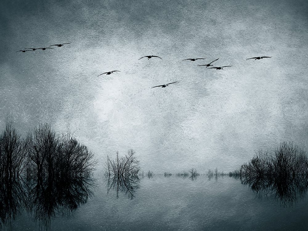 Homeward Bound Slate art print by David Pollard for $57.95 CAD