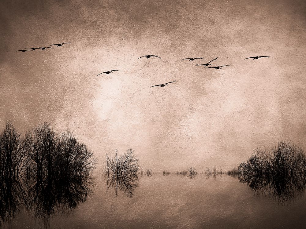 Homeward Bound Cocoa art print by David Pollard for $57.95 CAD