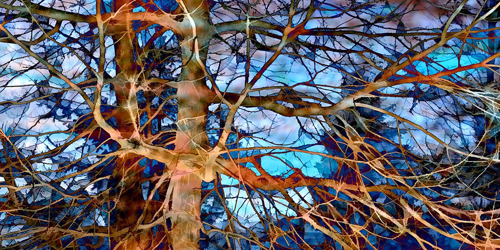 Burnt Orange Water II art print by David Pollard for $57.95 CAD