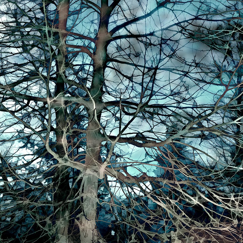 Sea Green I art print by David Pollard for $57.95 CAD
