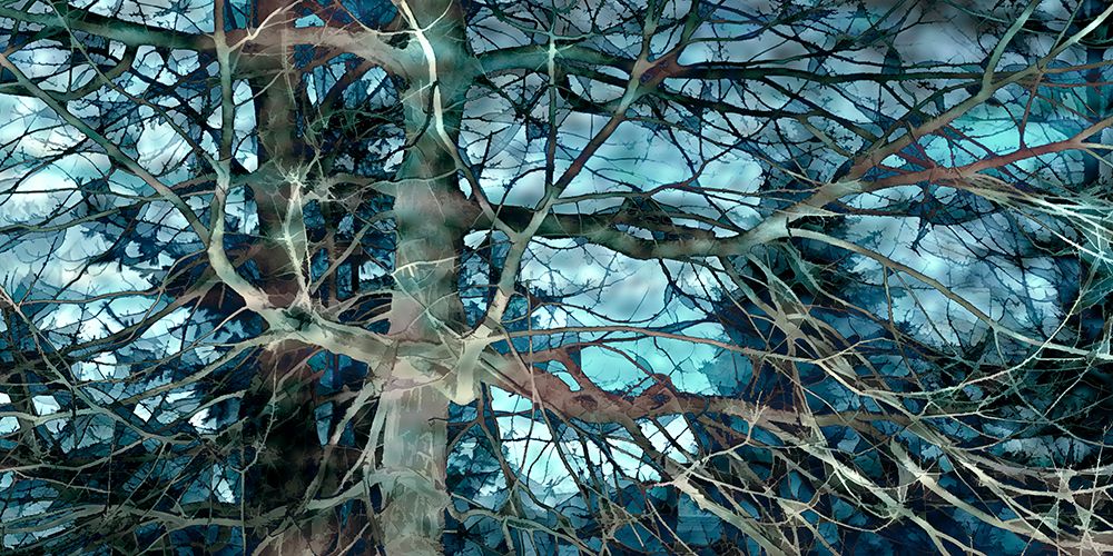 Sea Green II art print by David Pollard for $57.95 CAD