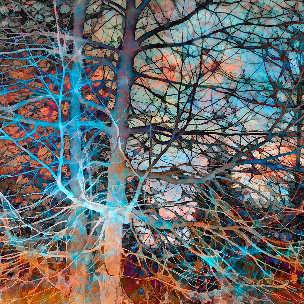 Turquoise Rust II art print by David Pollard for $57.95 CAD