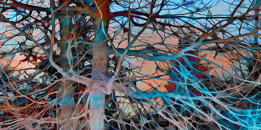 Turquoise Rust II art print by David Pollard for $57.95 CAD