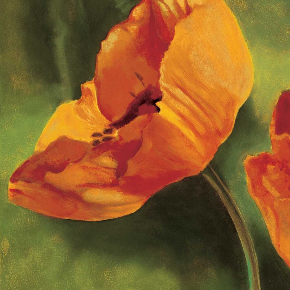 Coquelicots dans le soleil I art print by Pierre Viollet for $57.95 CAD