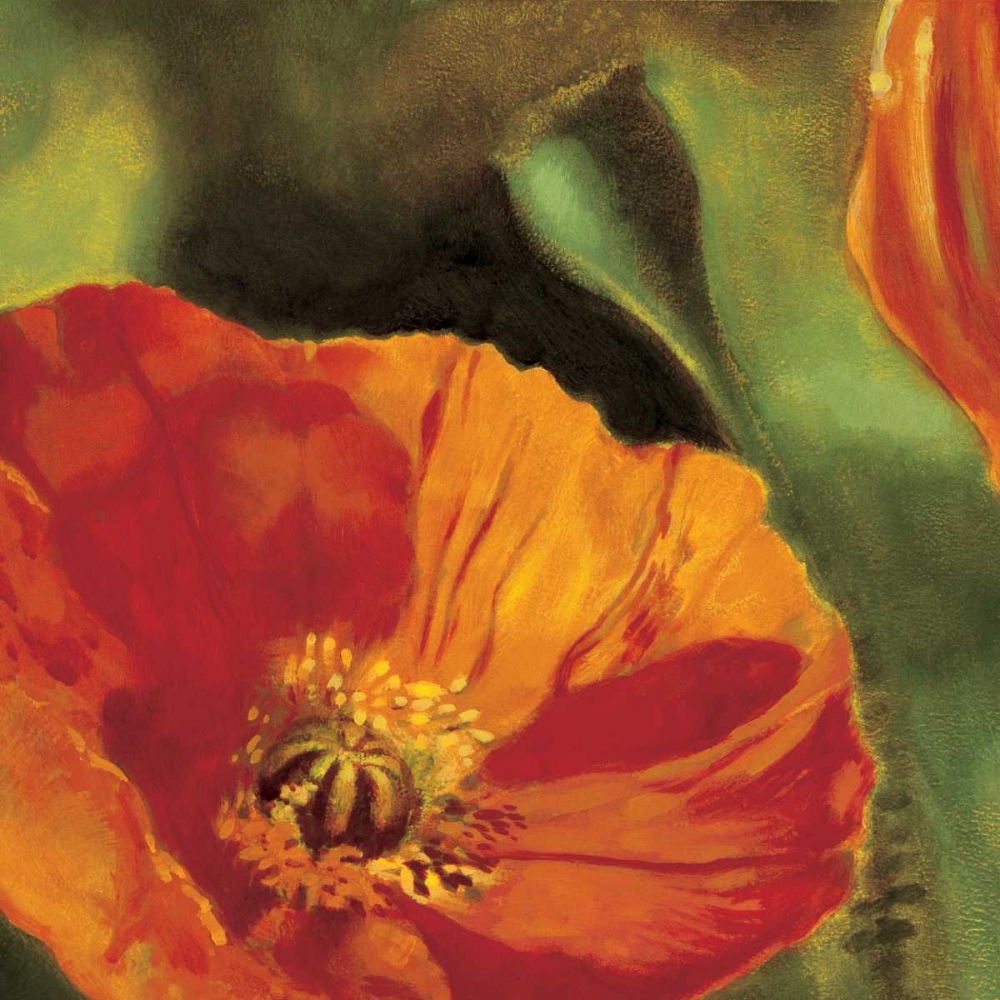 Coquelicots dans le soleil 2 art print by Pierre Viollet for $57.95 CAD