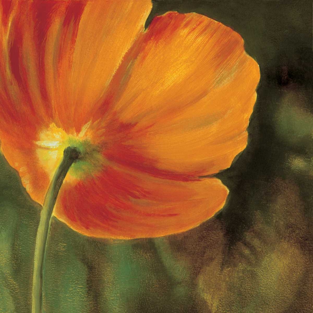 Coquelicots dans le soleil 3 art print by Pierre Viollet for $57.95 CAD