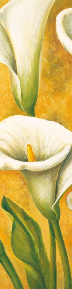 Concert de callas II art print by Pierre Viollet for $57.95 CAD