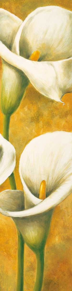 Concert de callas III art print by Pierre Viollet for $57.95 CAD