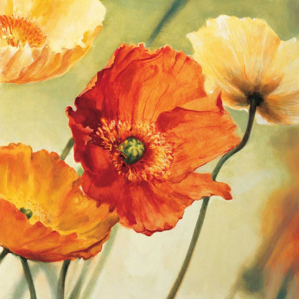 Champs de coquelicots II art print by Pierre Viollet for $57.95 CAD