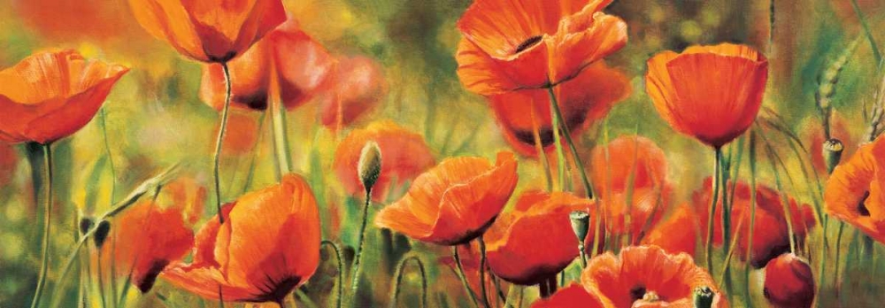 Symphonie de coquelicots art print by Pierre Viollet for $57.95 CAD