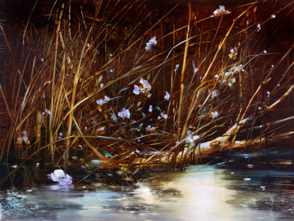 Close Up art print by Ron Di Scenza for $57.95 CAD