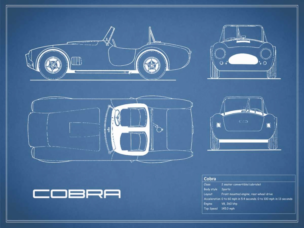 Cobra-Blue art print by Mark Rogan for $57.95 CAD