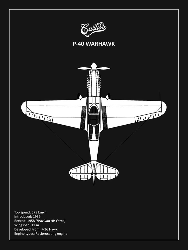 BP P-40 Warhawk Black art print by Mark Rogan for $57.95 CAD
