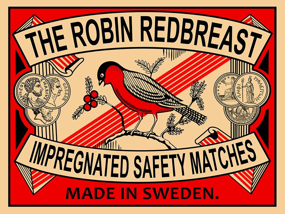 Robin Matches art print by Mark Rogan for $57.95 CAD